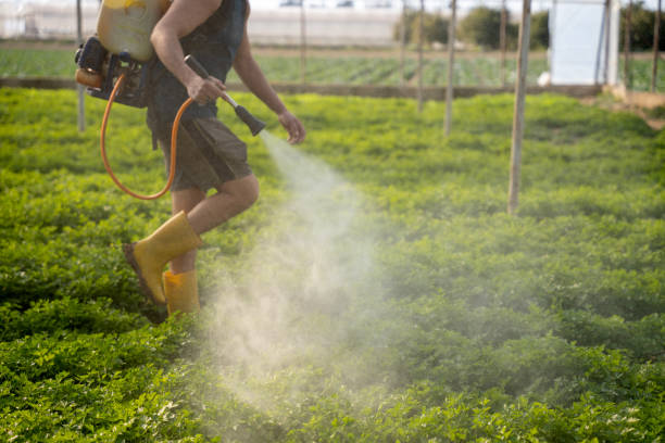 Pest Control Cost in Aliquippa, PA