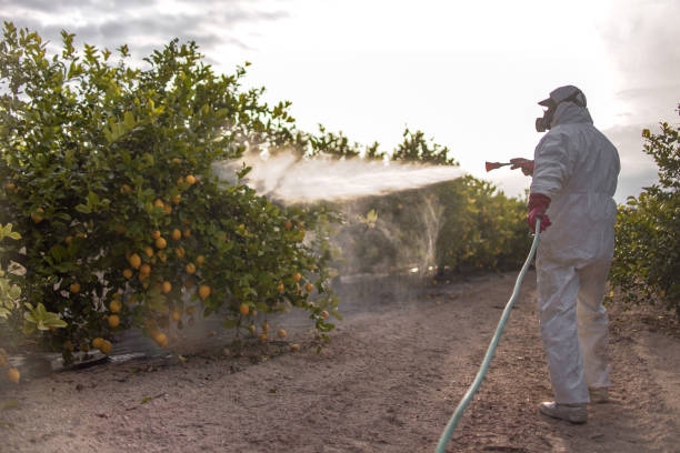 Best Residential Pest Control  in Aliquip, PA