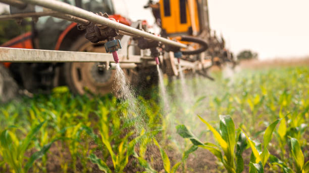 Best Wildlife Control Services  in Aliquip, PA
