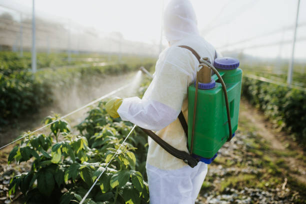 Reliable Aliquippa, PA Pest Control Solutions